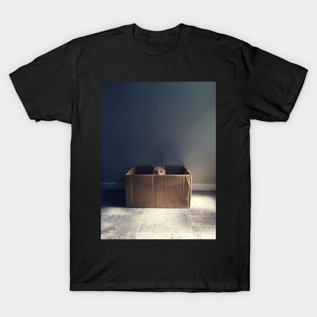 Cat in a box. The Zen cat master. Photography T-Shirt by seanfleming